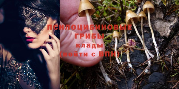 PSILOCYBIN Баксан